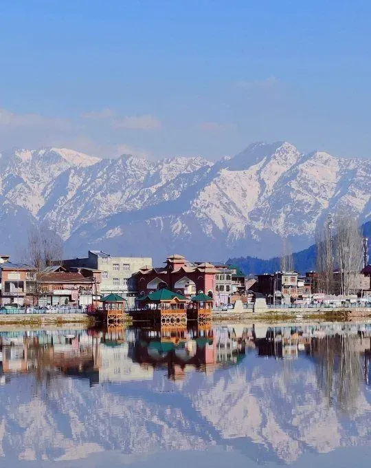 best ivf centre in srinagar：斯利那加试管中心专家指南