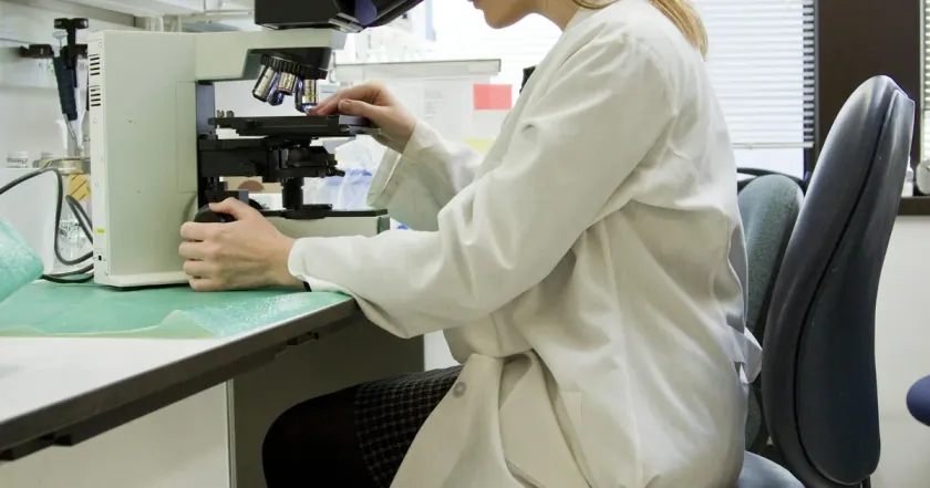 捐卵试管婴儿（Donor Egg IVF）完全指南：成功率、费用与流程