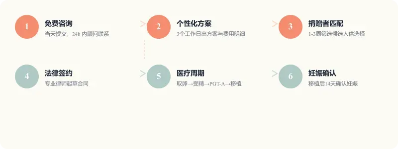全流程示意图