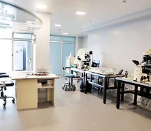 IN VITRO CLINIC (LeaderMed) 2