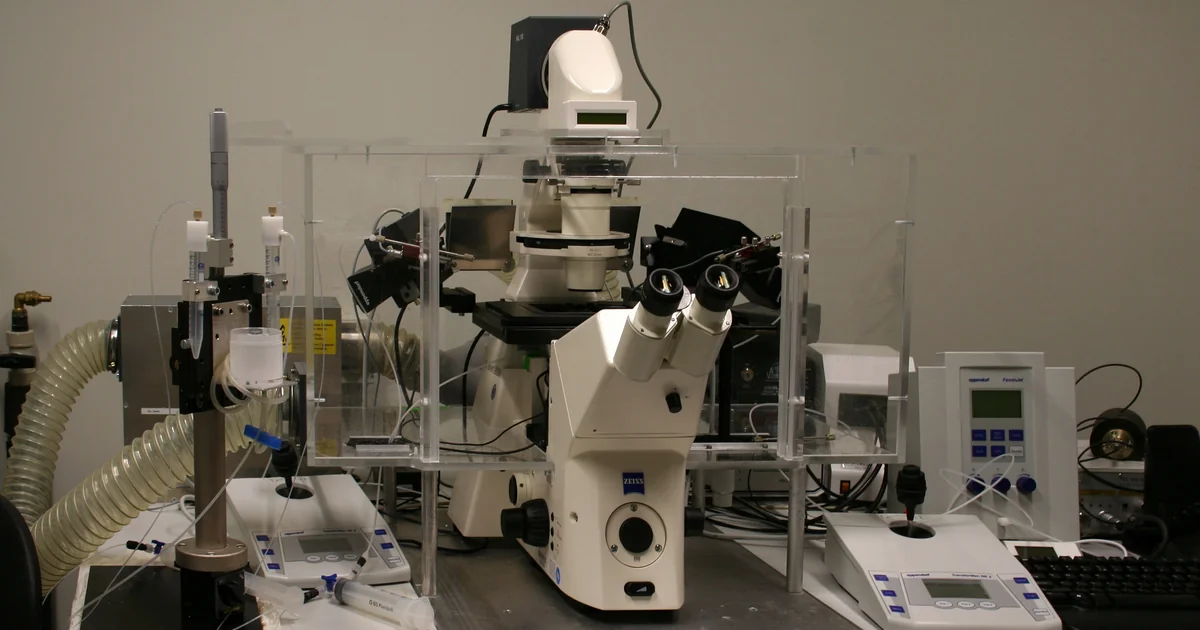 試管嬰兒實驗室（IVF Lab）裡到底發生什麼？胚胎實驗室流程、質量評估與選診所必問清單