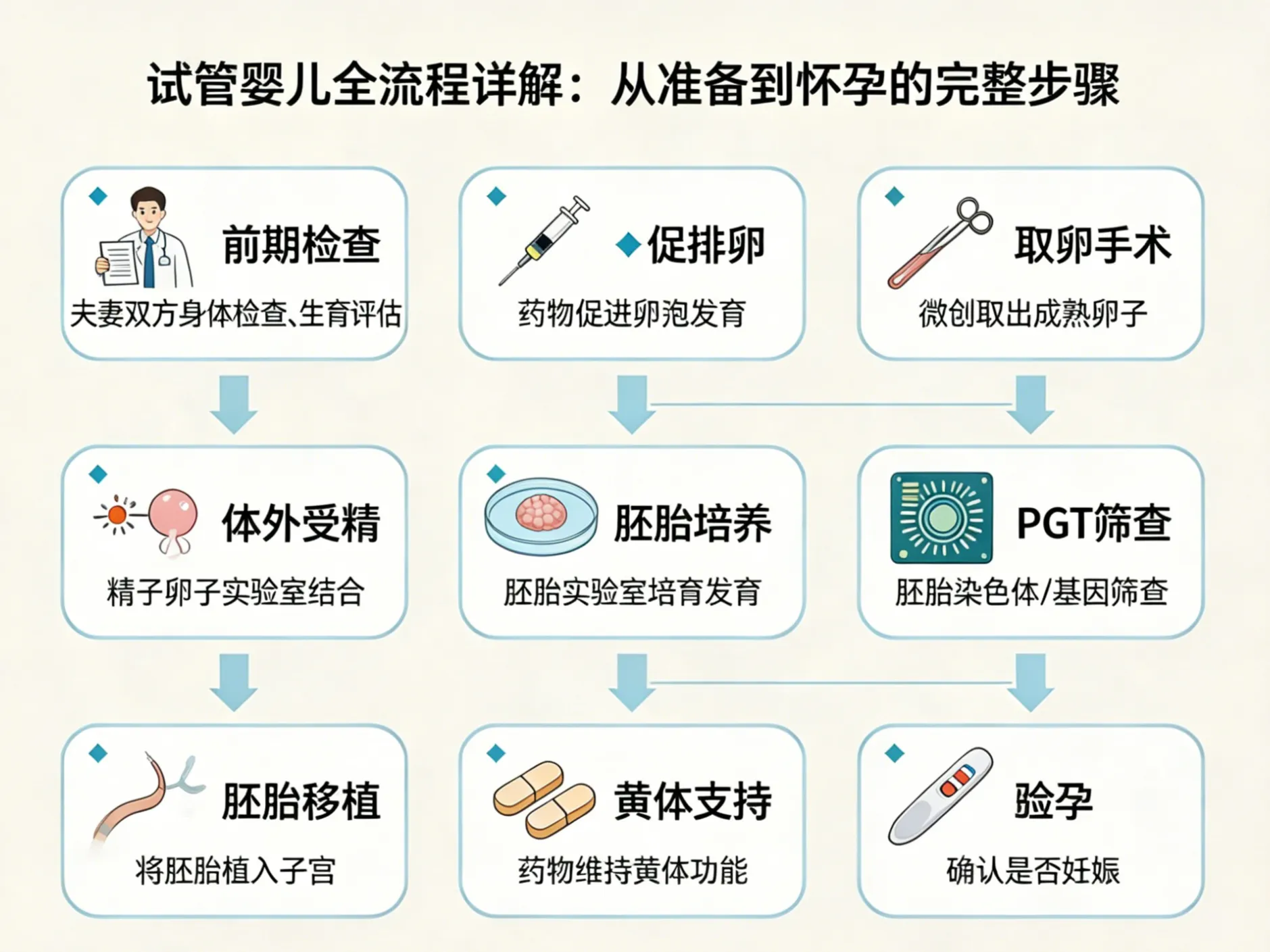 试管婴儿全流程详解：从准备到怀孕的完整步骤