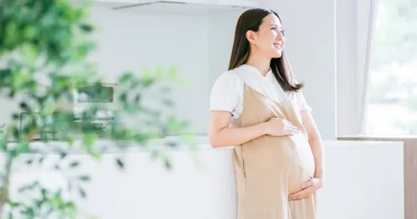 弗吉尼亚试管婴儿完全指南：2026费用、顶尖诊所与成功率