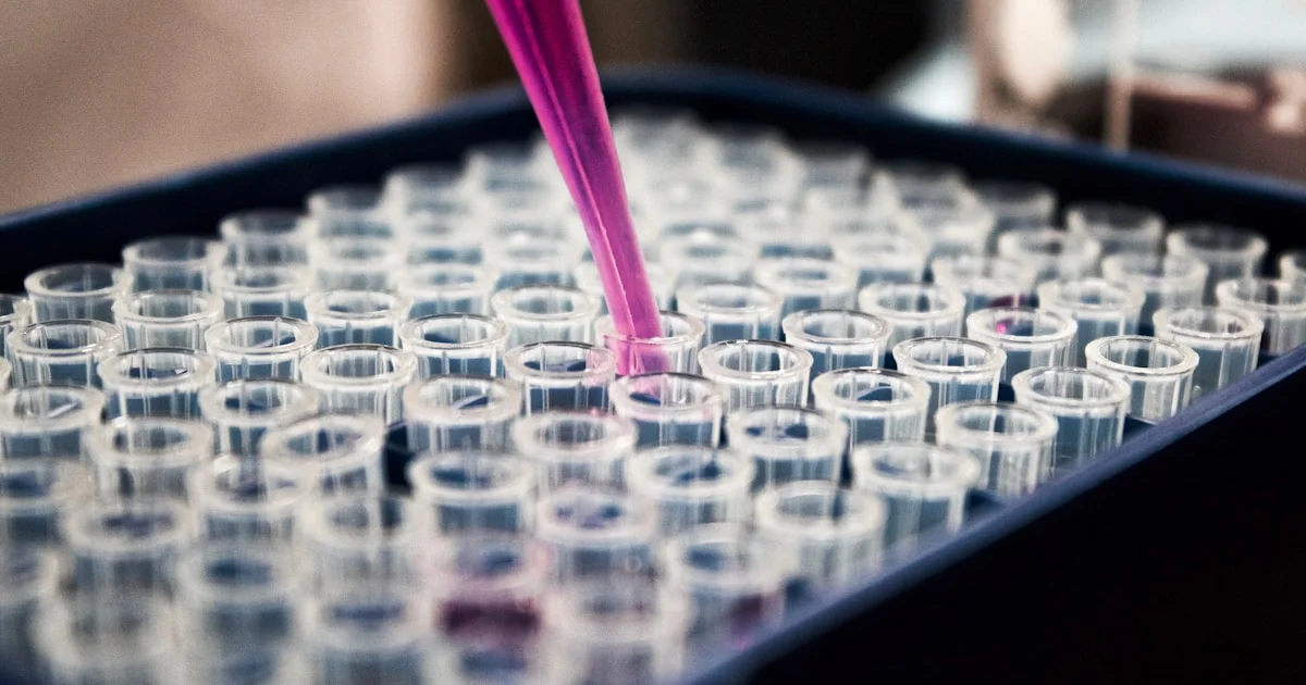 男性不孕做试管：精子DNA碎片、ICSI、显微取精全解析