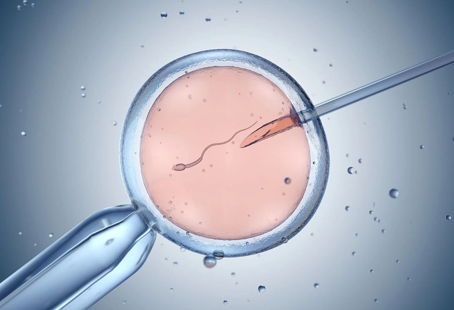 智能试管婴儿（Smart IVF）：AI和科技如何改变辅助生殖